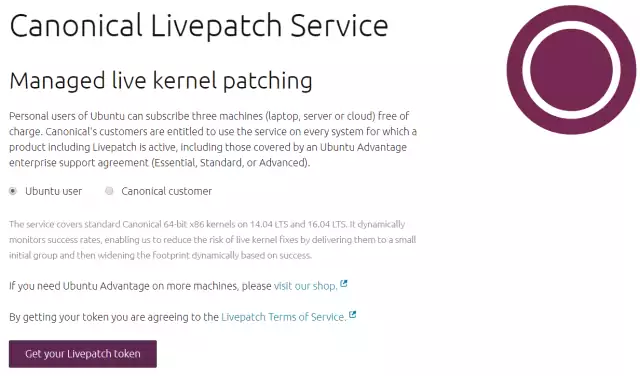 &ldquo;get_cls_token&rdquo;